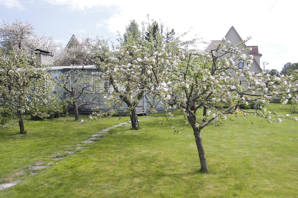 Villa Marleen Pärnu Exteriör bild